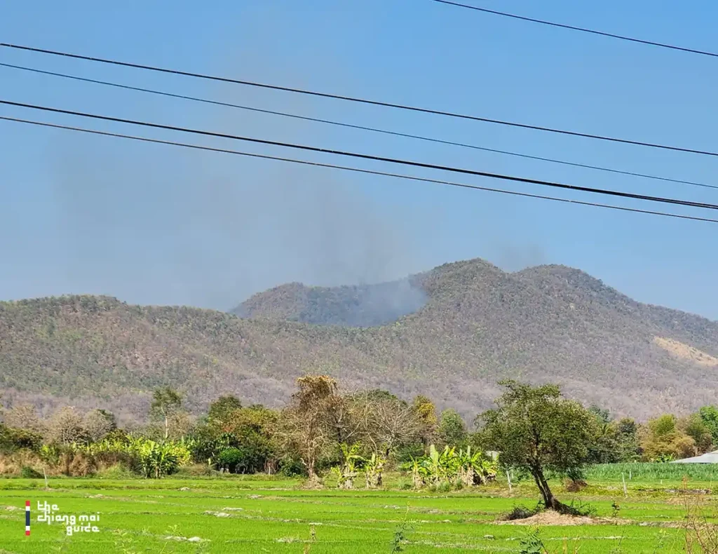 Start of burning season